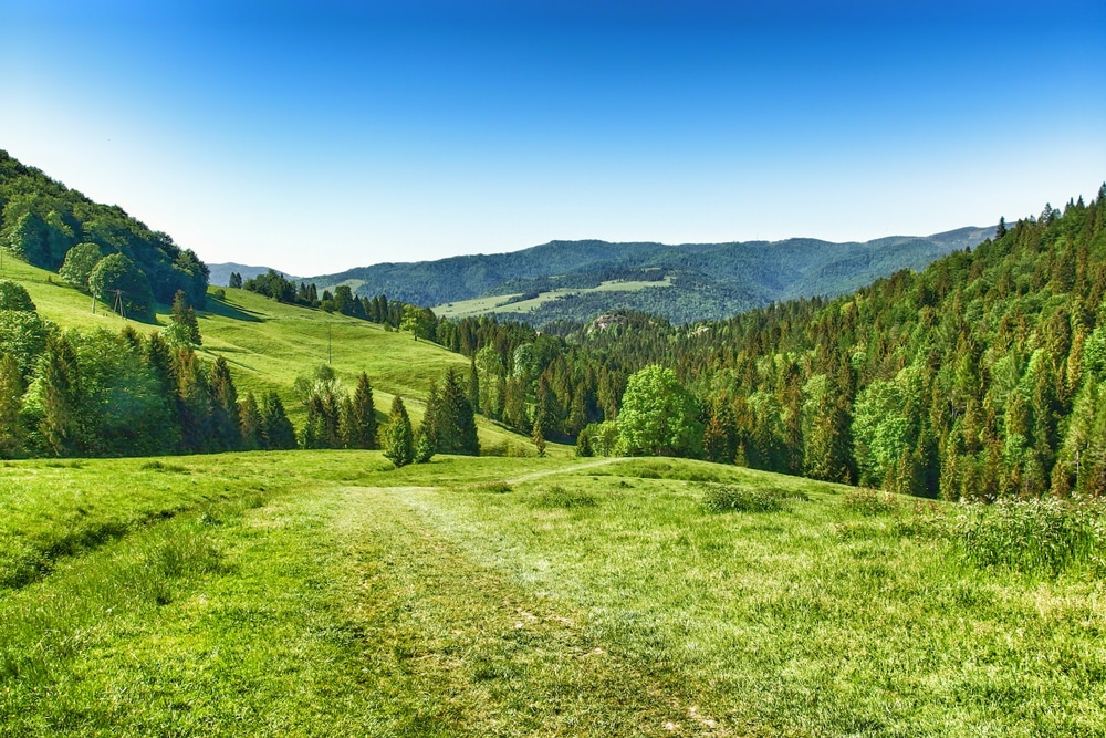 Beskiden gebergte in Tsjechië