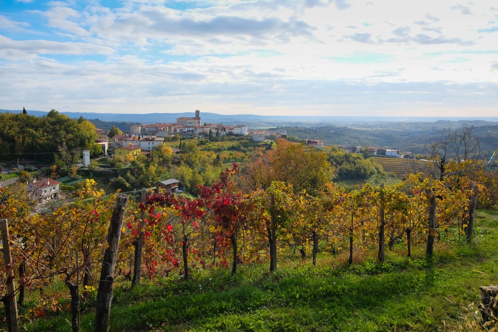 Brda Wijgaarden Slovenië Shutterstock 745783957