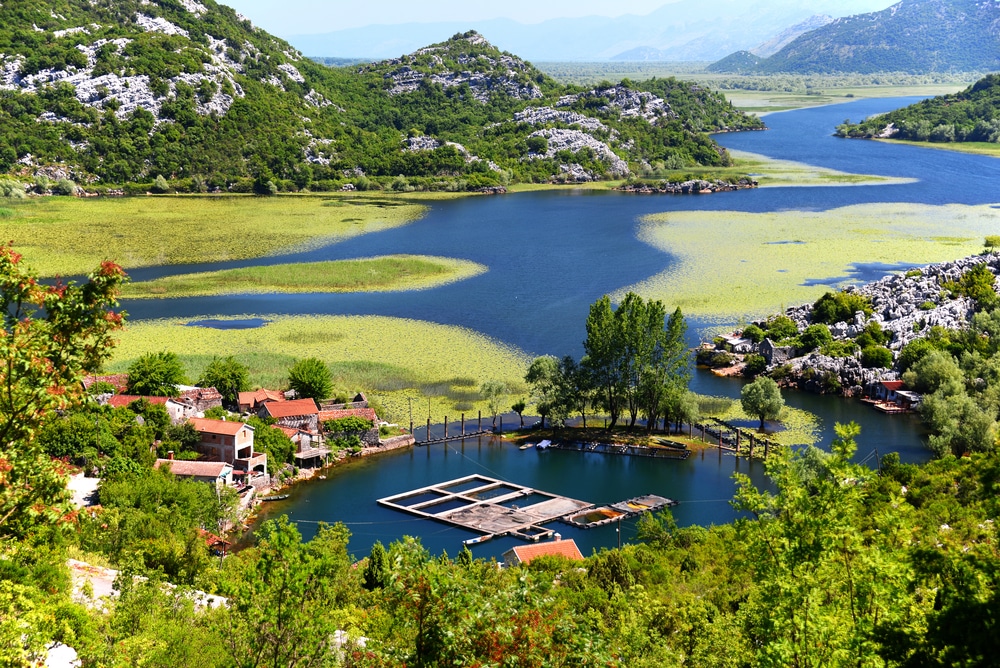 Nationale park Skadarsko Jerezo in Montenegro