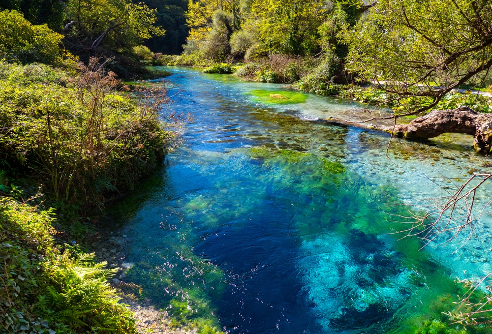 blauw water en groene begroeiing in de bron Syri I Kalter in Albanië