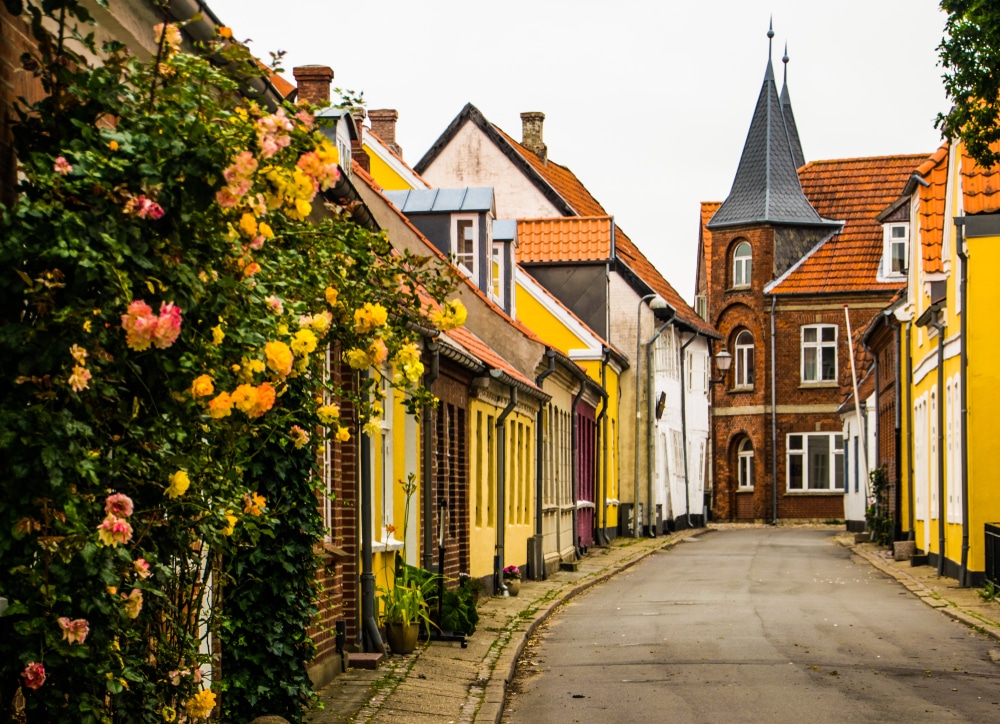 Ribe Denemarken