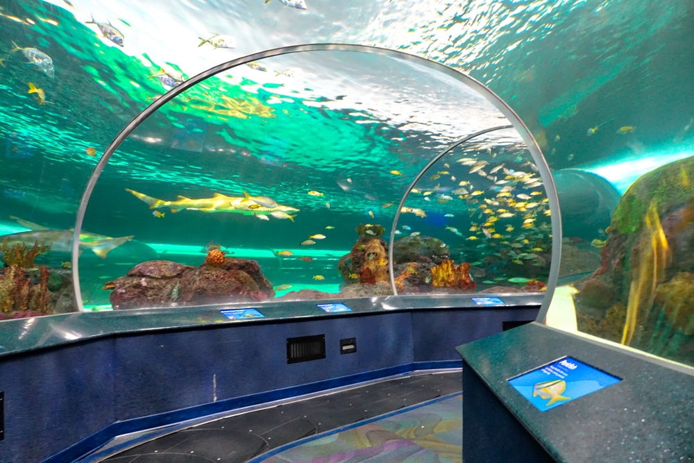 Ripley’s aquarium Toronto