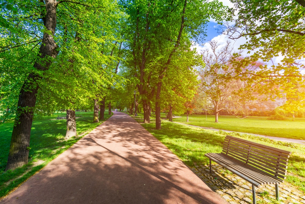 Letná park Praag Tsjechië