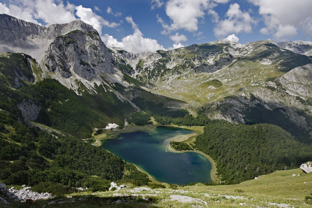  Sutjeska National Park Bosnië en Herzegovina 
