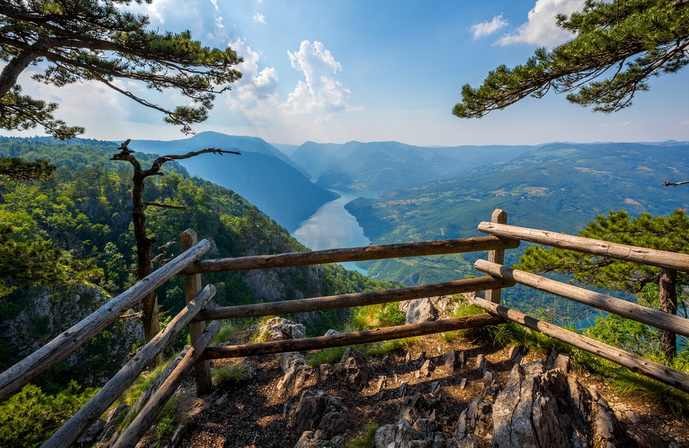 Nationaal Park Tara Servië