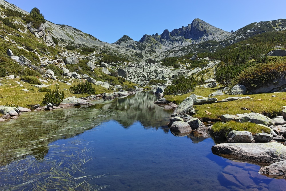 Pirin National Park Bulgarije