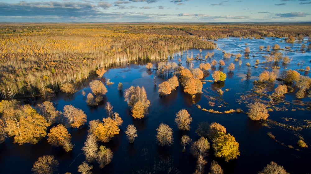 Nationaal Park Soomaa Estland