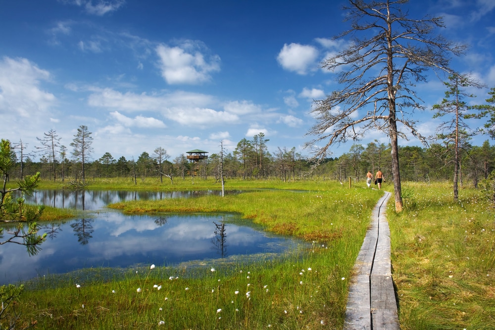 Nationaal park Lahemaa Estland