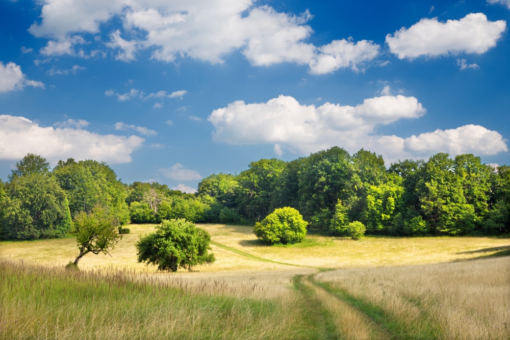 Nationaal Park Slovenský kras Slowakije 