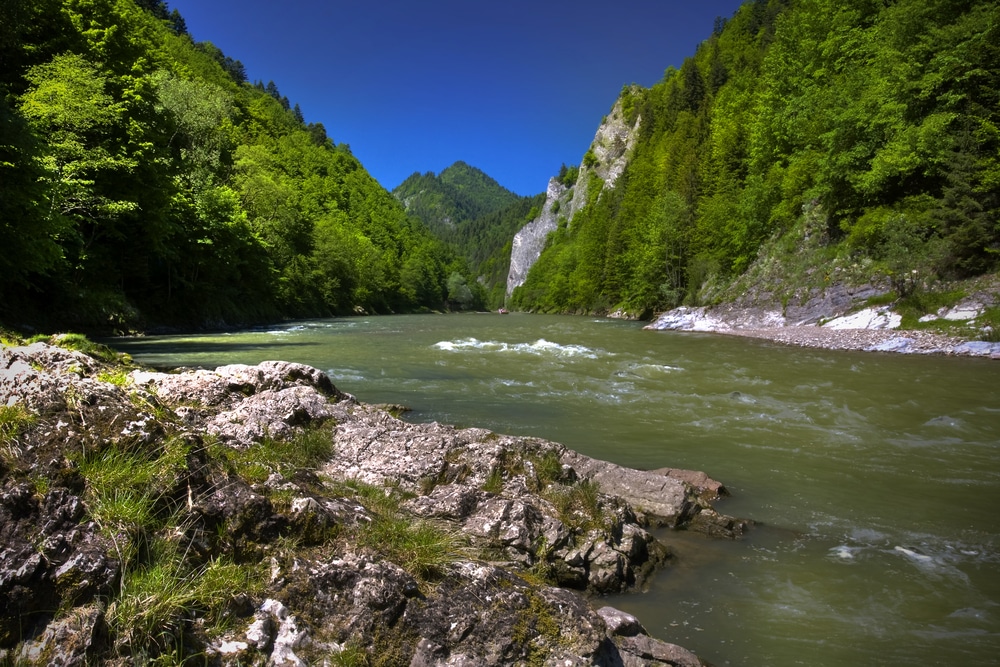 Nationaal park Pieniny Slowakije