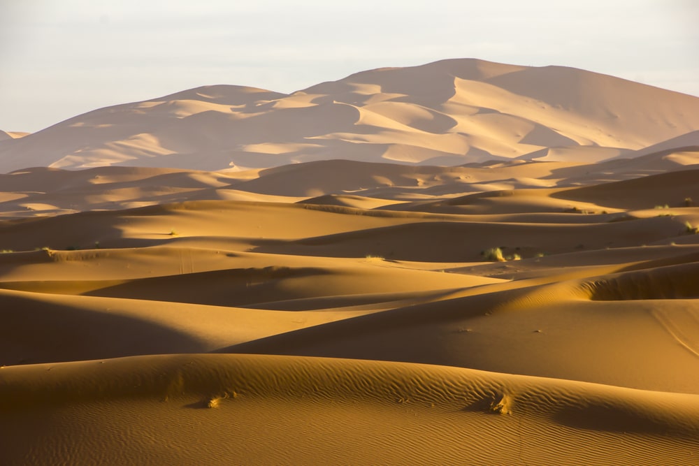 Erg CHebbi sahara Marokko