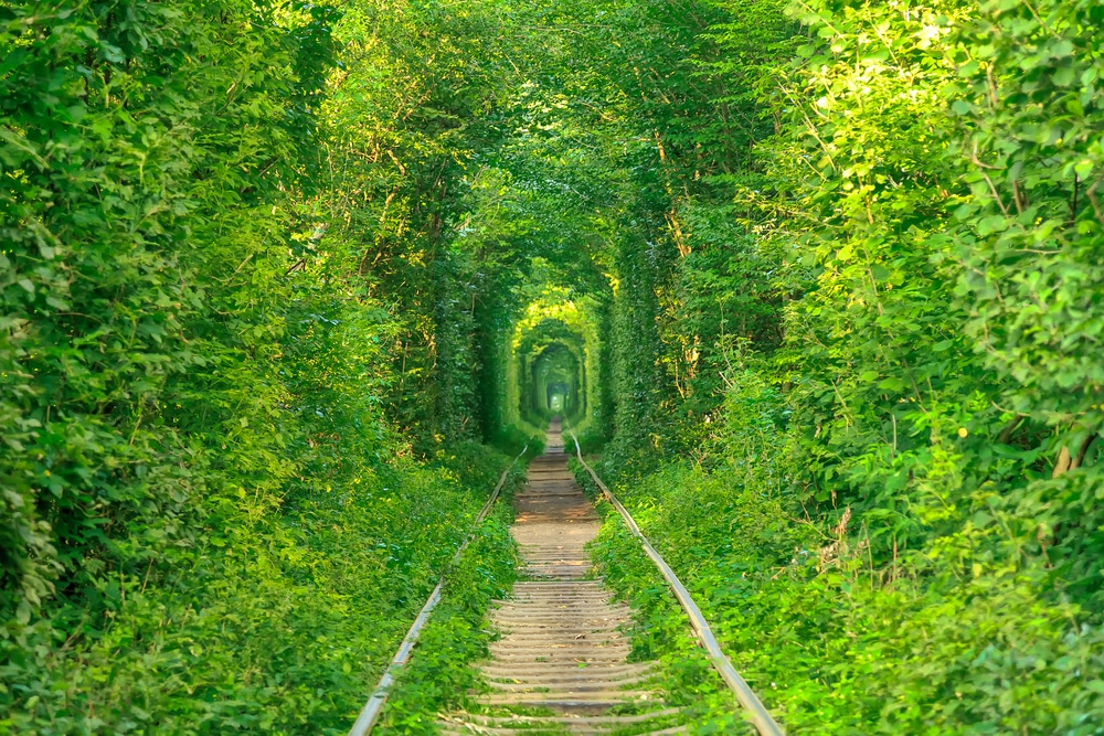 Tunnel of Love Oekraïne shutterstock 589963706,