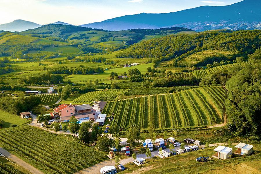 Saksida Wine Camping Resort, camping slovenie