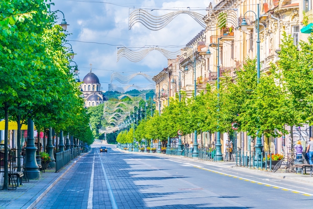 Gedminias Avenue Vilnius shutterstock 711780871, bezienswaardigheden in Vilnius