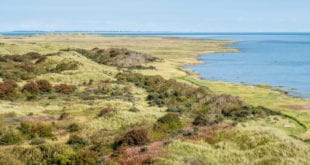 t oerd Ameland shutterstock 1272785932, wandelen Flevoland