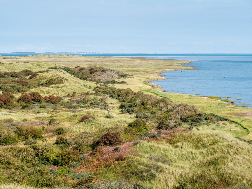 het groene duingebied het Oerd aan de zee op het Waddeneiland Ameland