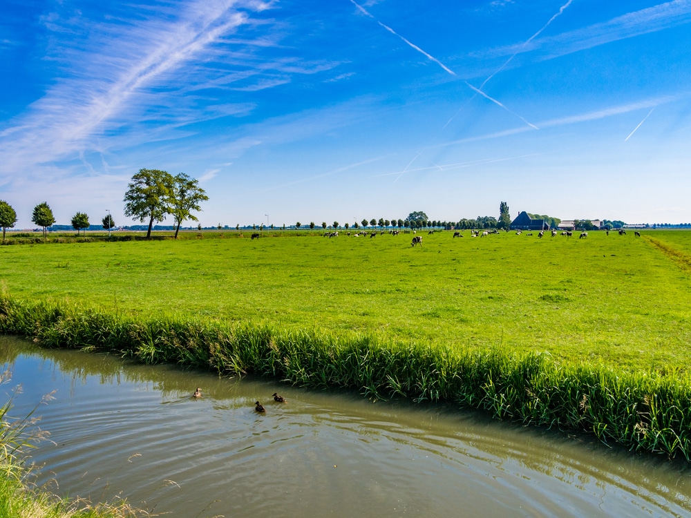 De Beemster Noord Holland shutterstock 700549948, Stedentrip Nederland Winter