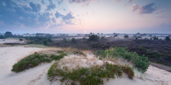 Drents Friese Wold Friesland shutterstock 215758477, wandelen op Terschelling