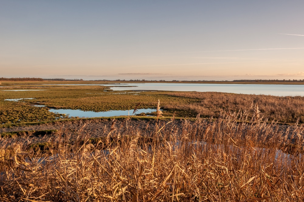 Lauwersmeer Friesland shutterstock 529823332, Natuurgebieden in Nederland