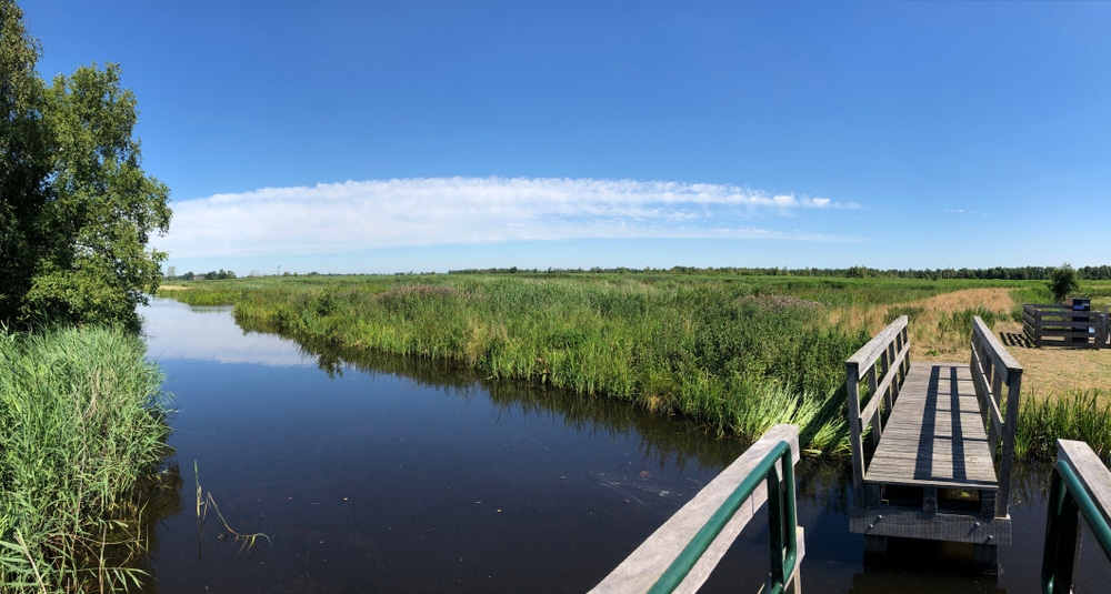 Natuurpark De Alde Feanen Friesland Shutterstock 1206885559