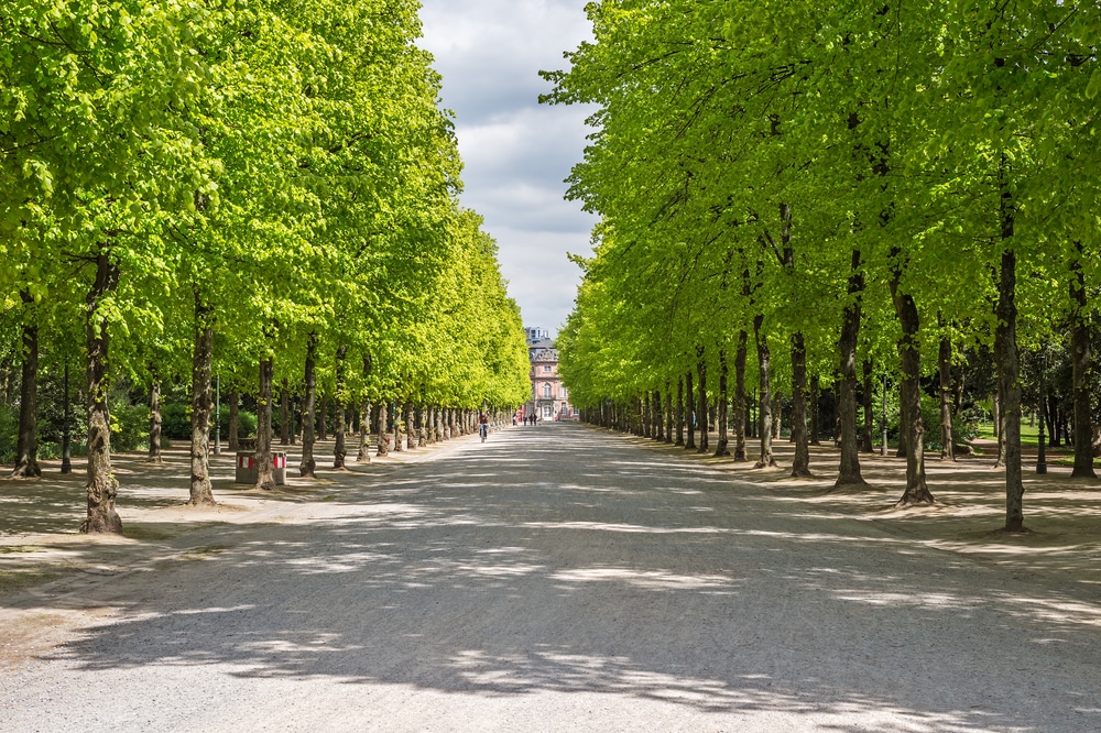 Hofgarten Dusseldorf, Bezienswaardigheden berchtesgaden