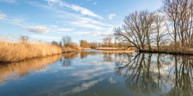 Nationaal Park De Biesbosch Brabant shutterstock 1108144772, vliegen eindhoven airport