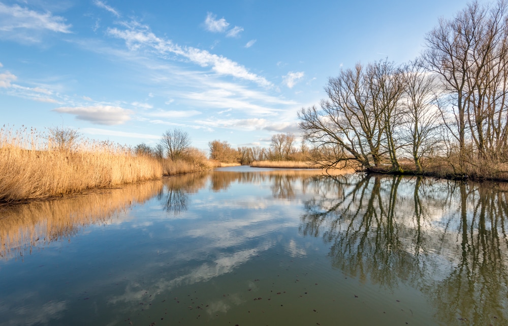 Nationaal Park De Biesbosch Brabant shutterstock 1108144772, Stedentrip Nederland Winter