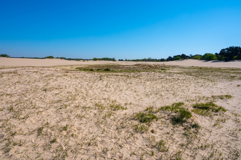 Nationaal Park De Loonse en Drunense Duinen Brabant shutterstock 1727504005, Bezienswaardigheden Zuid-Holland