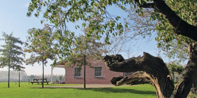 Vakantiehuis in DIdam, tiny house Achterhoek