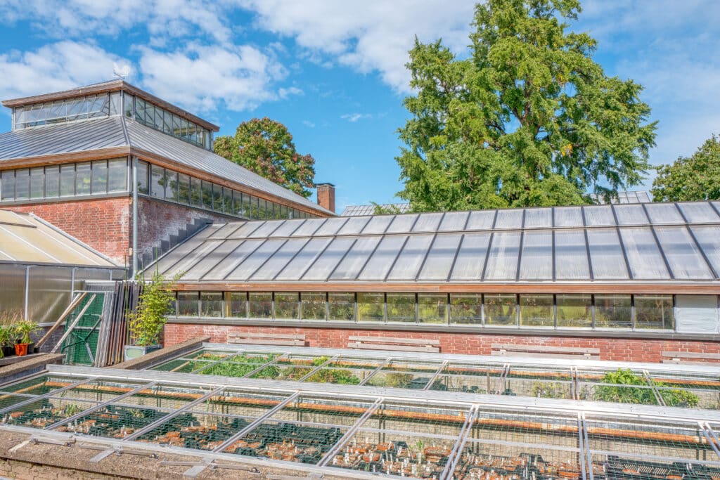 Hortus Botanicus Leiden, Bezienswaardigheden Zuid-Holland