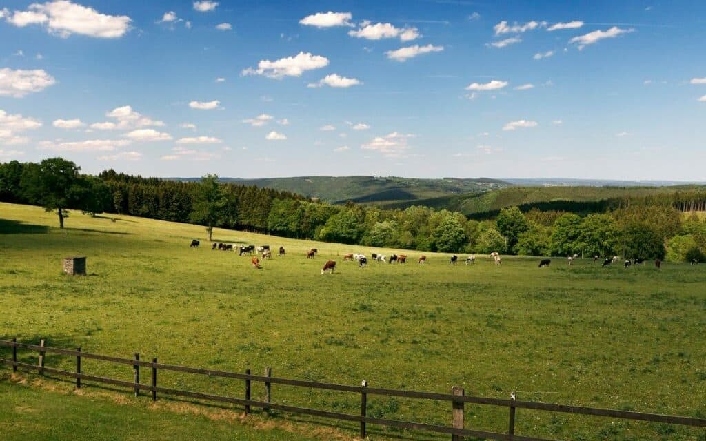 Landal Village les Gottales edited, Vakantiepark Ardennen