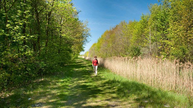 Lauwersoog in Groningen, wandelroutes in Nederland