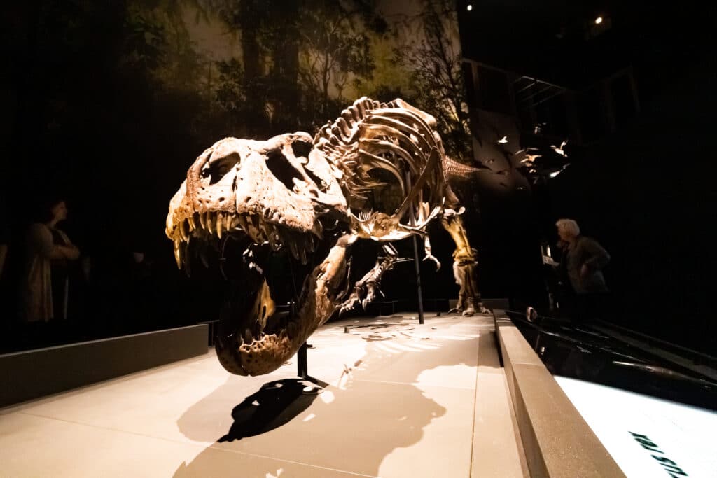 Naturalis Biodiversity Center Leiden, Bezienswaardigheden Leiden