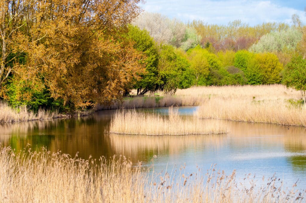 Natuurpark Lelystad Flevoland, Bezienswaardigheden Flevoland