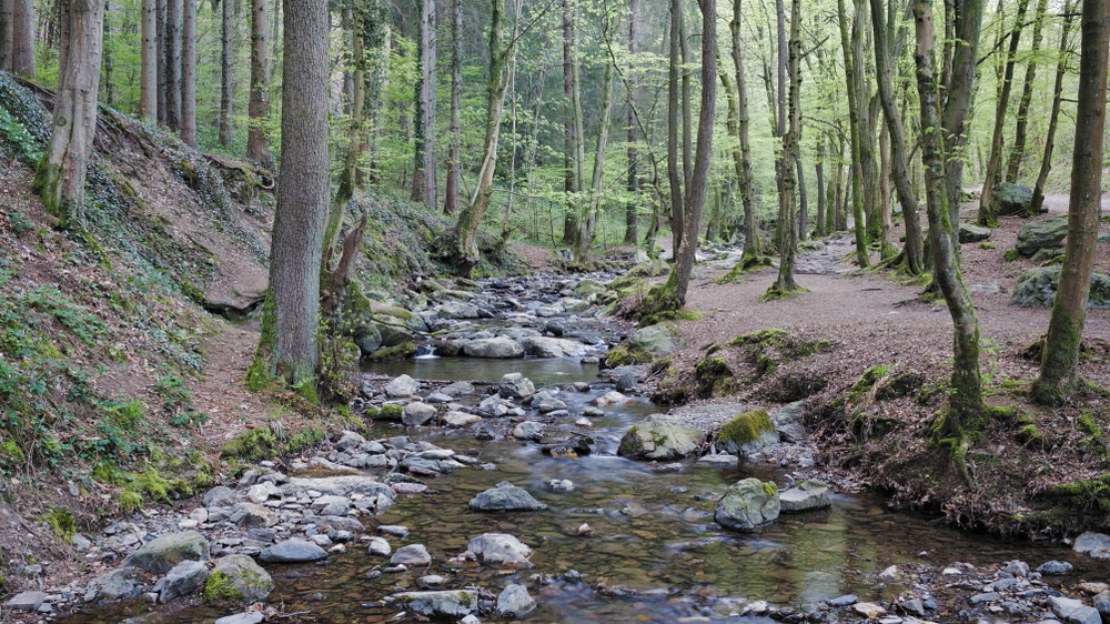 Ninglispo Belgische Ardennen shutterstock 1377008603, leukste en mooiste steden van België