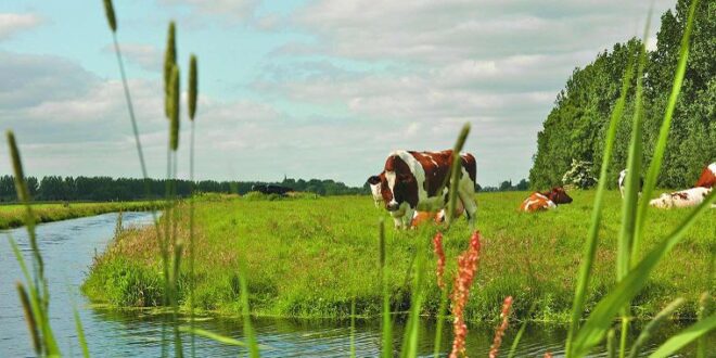 Utrechtse polder, natuurgebieden nederland