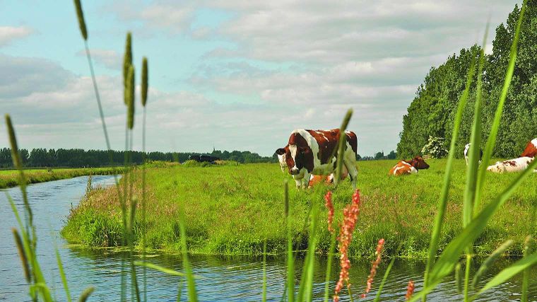 Utrechtse polder, wandelroutes in Nederland