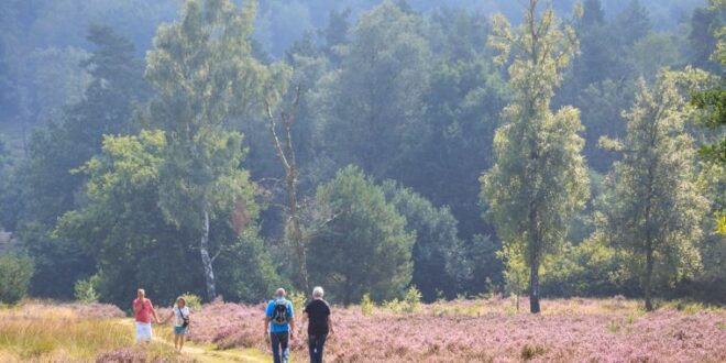 de Hoge Veluwe in Gelderland, aardenburg