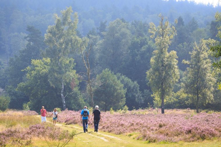 de Hoge Veluwe in Gelderland, wandelen op de veluwe