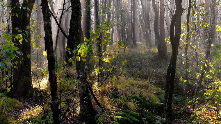 Mooiste wandelroutes in Nederland