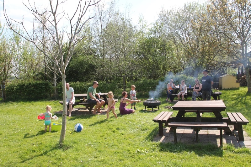 Camping Theyencamp, mooiste campings in Drenthe