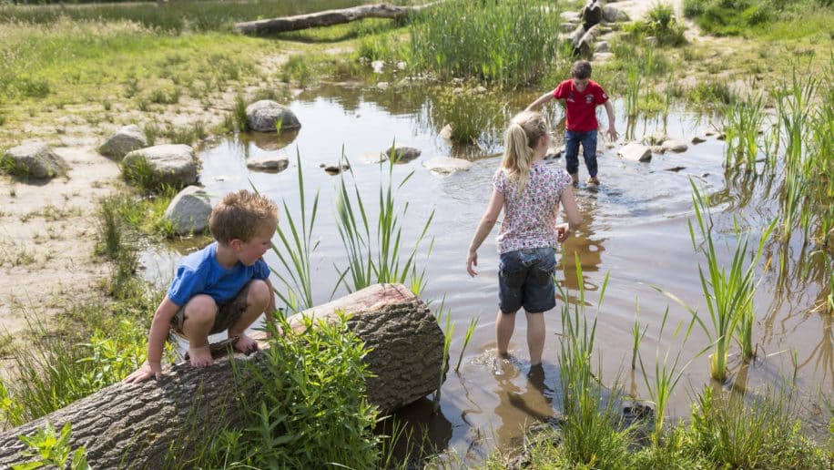 Camping Torentjeshoek, kindvriendelijke campings overijssel