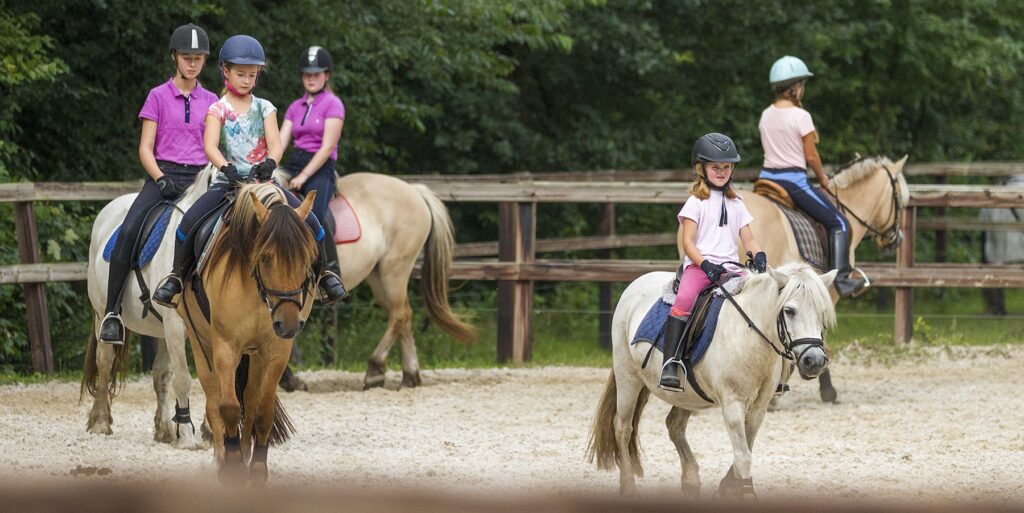 Camping de Reeenwissel, kindvriendelijke campings Drenthe