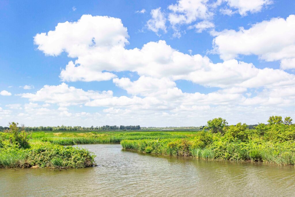 Nationaal Park de Biesbosch min, wandelen in Zuid-Holland