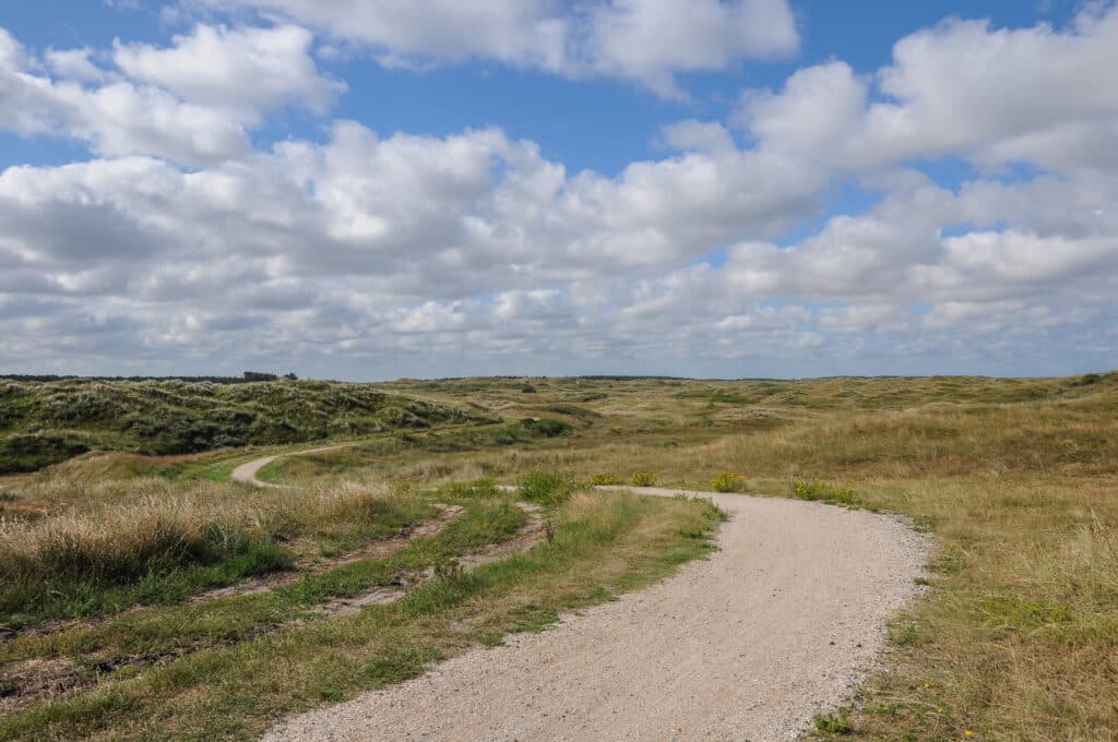 Natuurgebied de Boschplaat Terschelling, Terschelling