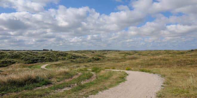 Natuurgebied de Boschplaat Terschelling, boomhut overnachting nederland