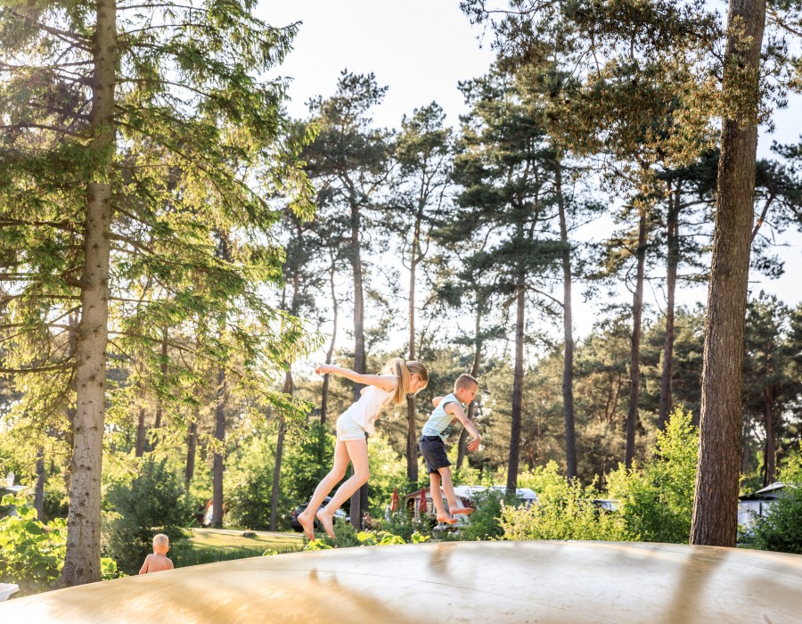 Vakantiepark Diana Heide, kindvriendelijke campings overijssel