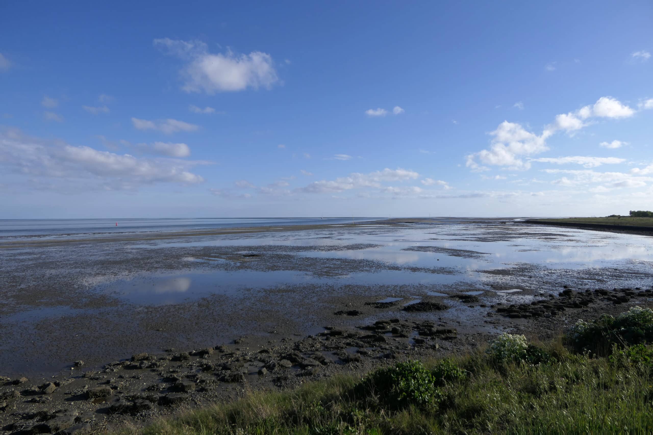 Wadlopen Vlieland scaled, beste vakantieparken op de waddeneilanden