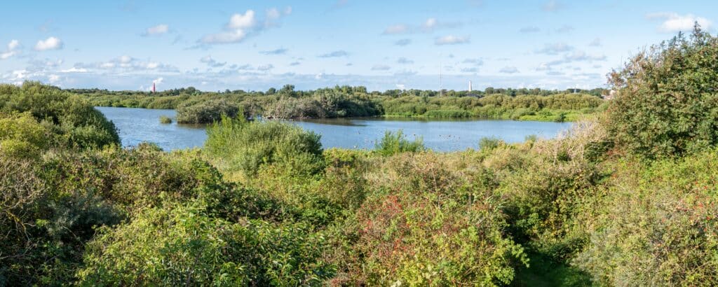 Westerplas Schiermonnikoog, bezienswaardigheden Schiermoonikoog