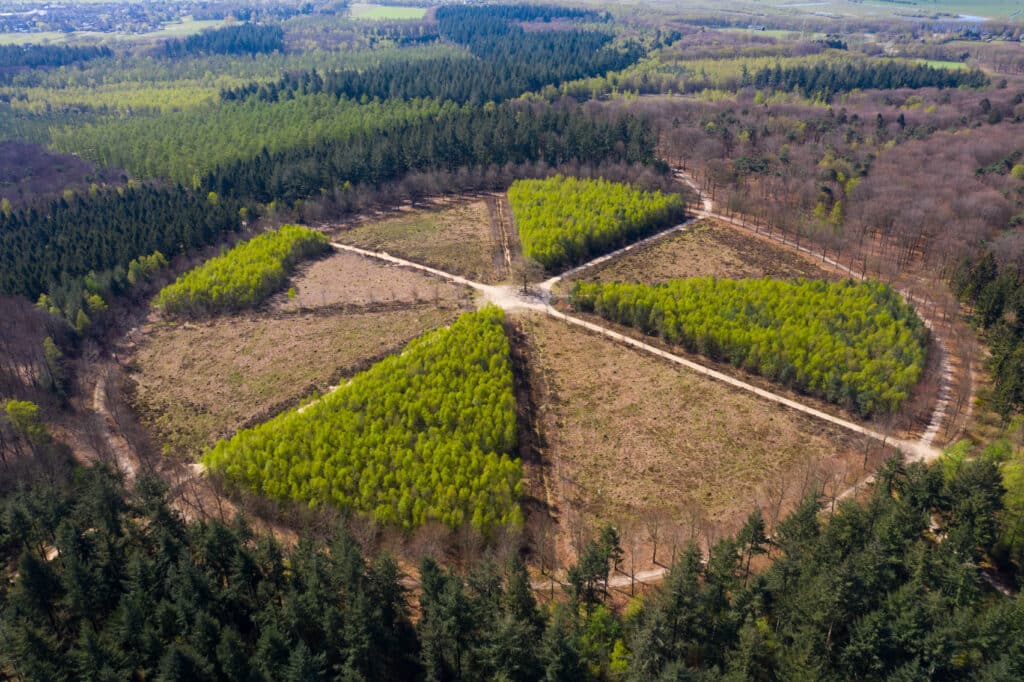 Amerongse berg Utrechtse Heuvelrug, campings Utrechtse Heuvelrug